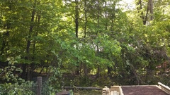 Image file: photo01.jpg