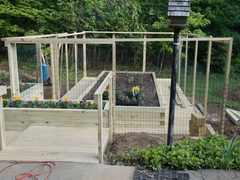 Image file: photo06.jpg