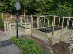 Image file: photo07.jpg