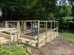 Image file: photo11.jpg