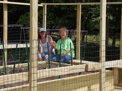 Image file: photo12.jpg