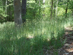 Image file: photo03.jpg