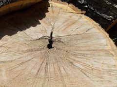 Image file: photo01.jpg