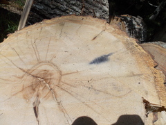 Image file: photo02.jpg