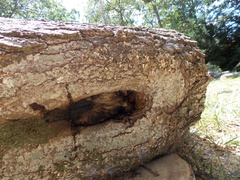 Image file: photo06.jpg