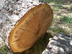 Image file: photo09.jpg