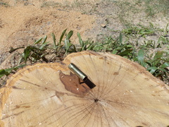 Image file: photo12.jpg