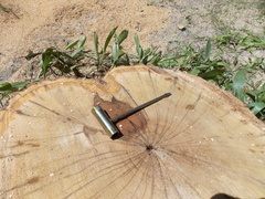 Image file: photo13.jpg