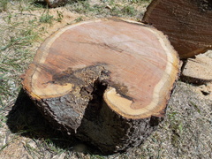 Image file: photo16.jpg