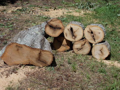 Image file: photo01.jpg