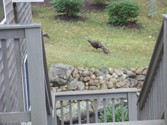 Image file: photo08.jpg