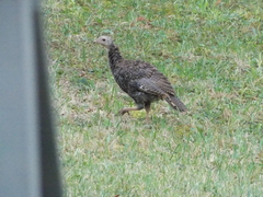 Image file: photo09.jpg