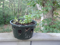 Image file: photo10.jpg