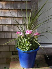 Image file: photo20.jpg