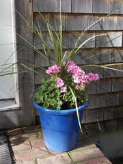 Image file: photo21.jpg