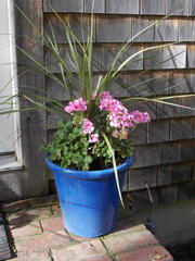 Image file: photo22.jpg