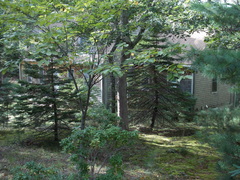 Image file: photo31.jpg