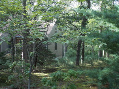 Image file: photo32.jpg