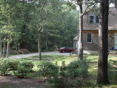 Image file: photo33.jpg