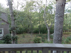 Image file: photo41.jpg