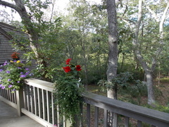 Image file: photo43.jpg