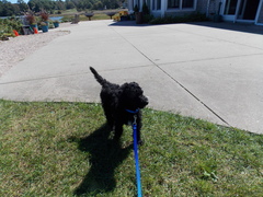 Image file: photo03.jpg