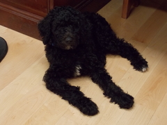 Image file: photo01.jpg