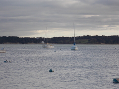 Image file: photo02.jpg