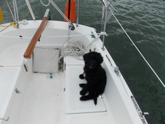 Image file: photo01.jpg