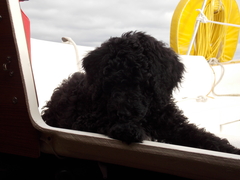 Image file: photo06.jpg