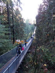 Image file: photo17.jpg