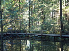 Image file: photo21.jpg