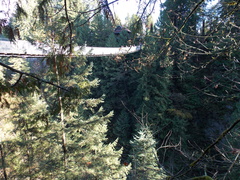 Image file: photo23.jpg