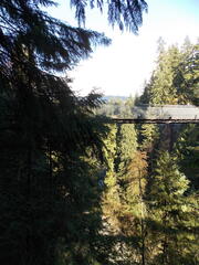 Image file: photo24.jpg