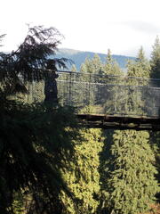 Image file: photo25.jpg