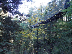 Image file: photo27.jpg