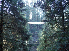 Image file: photo28.jpg