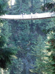 Image file: photo31.jpg