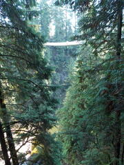 Image file: photo32.jpg