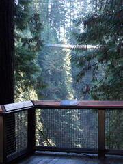 Image file: photo35.jpg