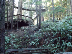 Image file: photo38.jpg