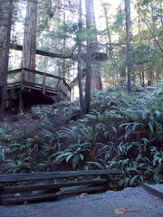 Image file: photo39.jpg