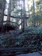 Image file: photo40.jpg