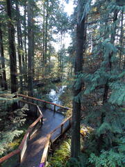 Image file: photo41.jpg