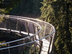 Image file: photo49.jpg