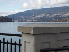 Image file: photo49.jpg