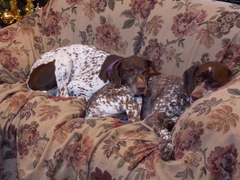 Image file: photo03.jpg