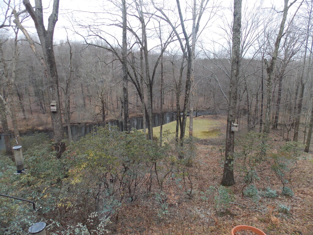 No description provided for: /2013/01-03/0114-jo-ann-river/photo01.html