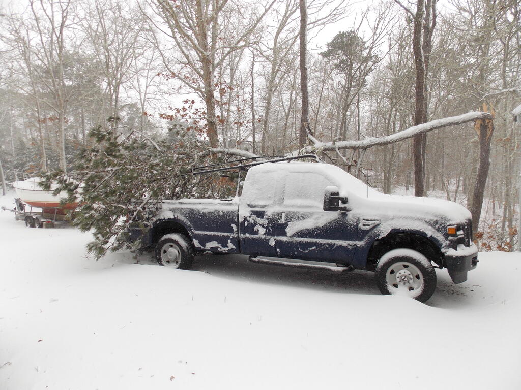 No description provided for: /2013/01-03/0209-truck+tree/photo01.html