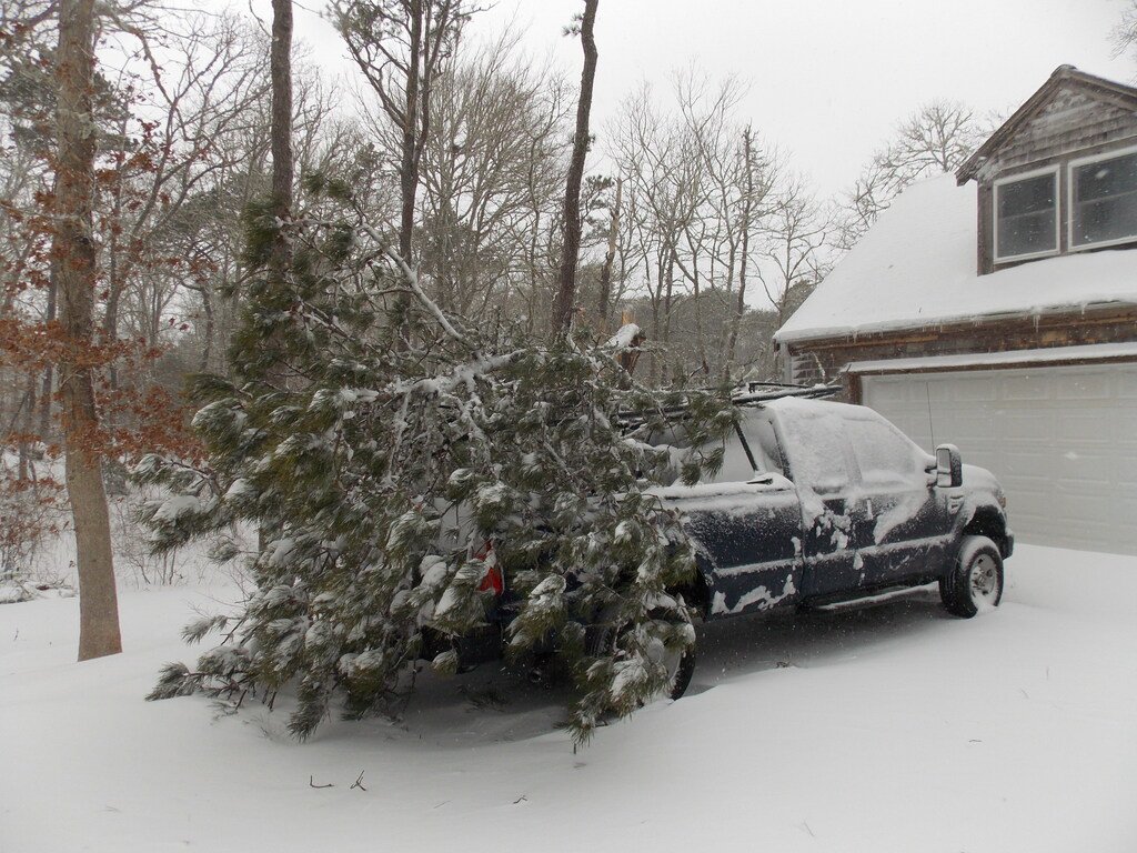 No description provided for: /2013/01-03/0209-truck+tree/photo02.html